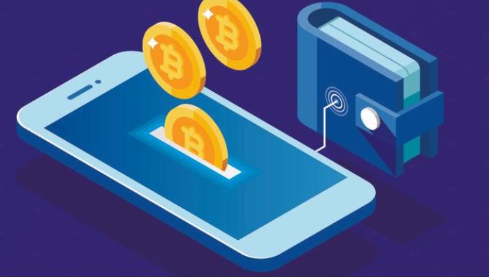 Crypto Wallet Technology Work